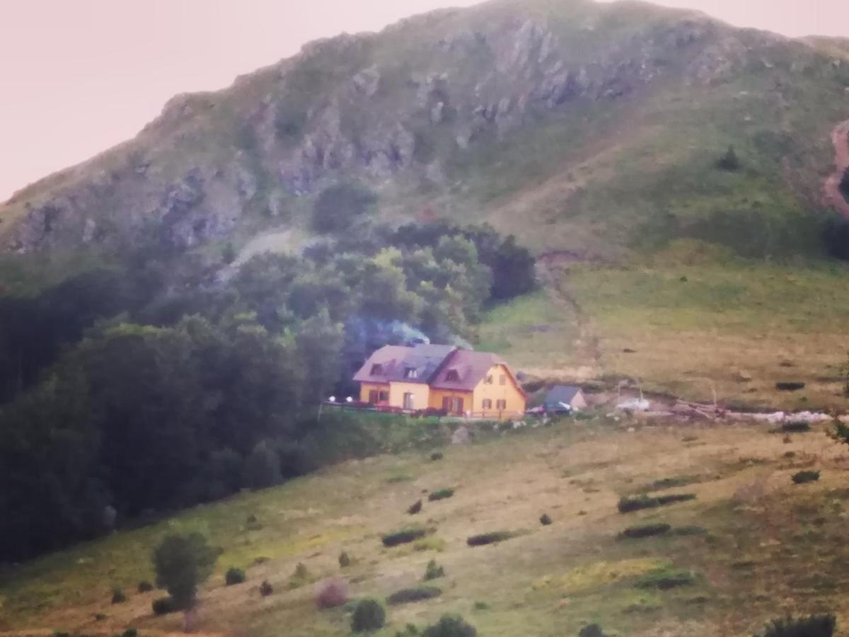 Vikendica Vila Despotovic Kopaonik Zewnętrze zdjęcie