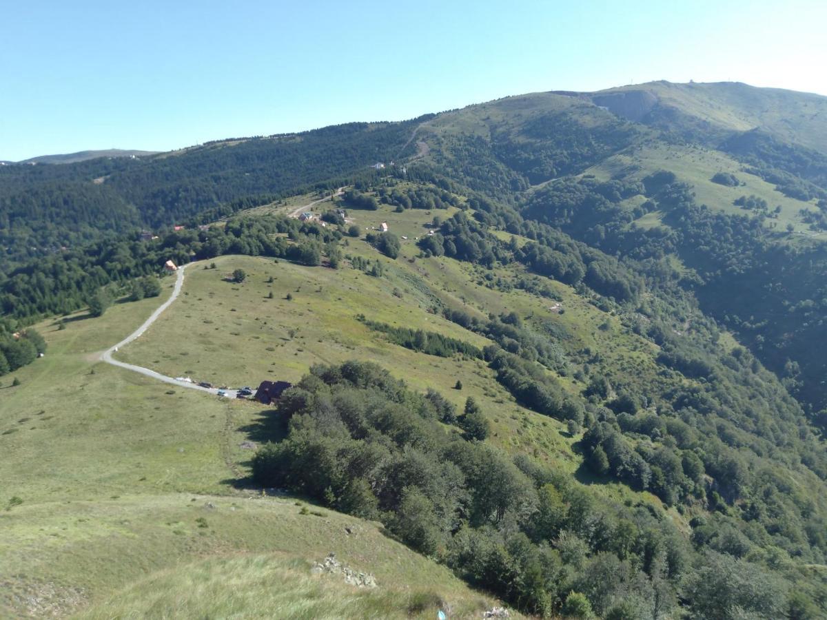 Vikendica Vila Despotovic Kopaonik Zewnętrze zdjęcie