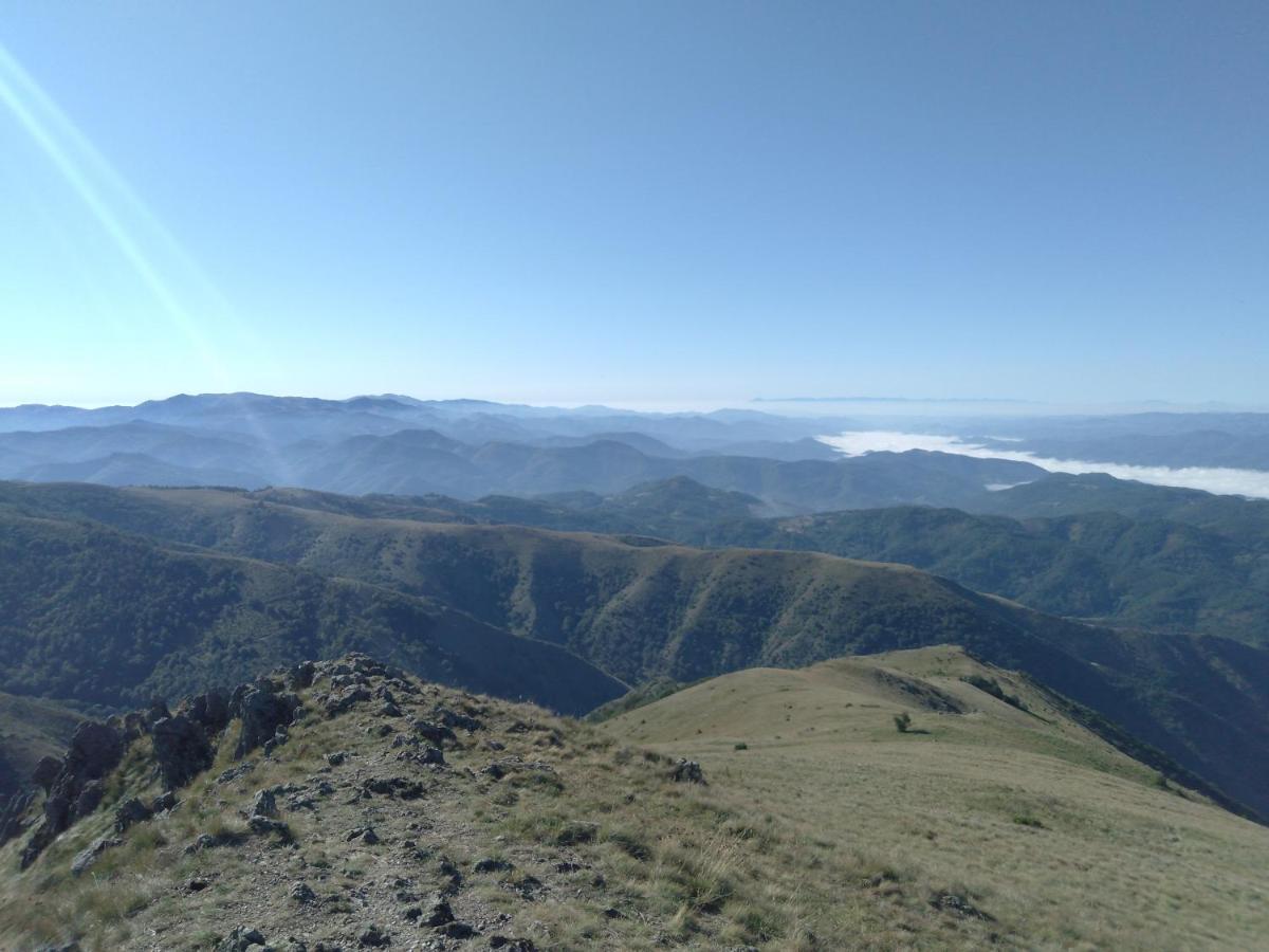 Vikendica Vila Despotovic Kopaonik Zewnętrze zdjęcie