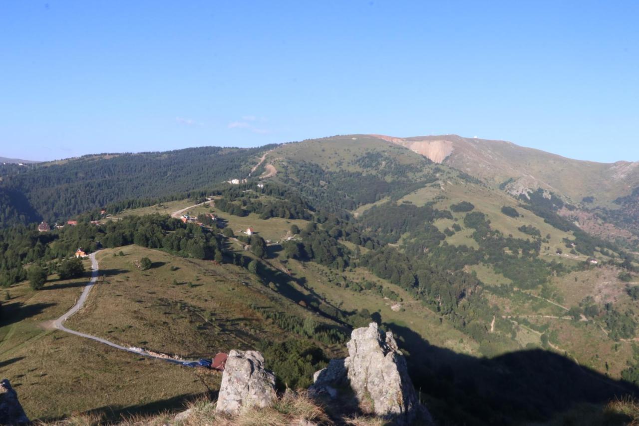 Vikendica Vila Despotovic Kopaonik Zewnętrze zdjęcie