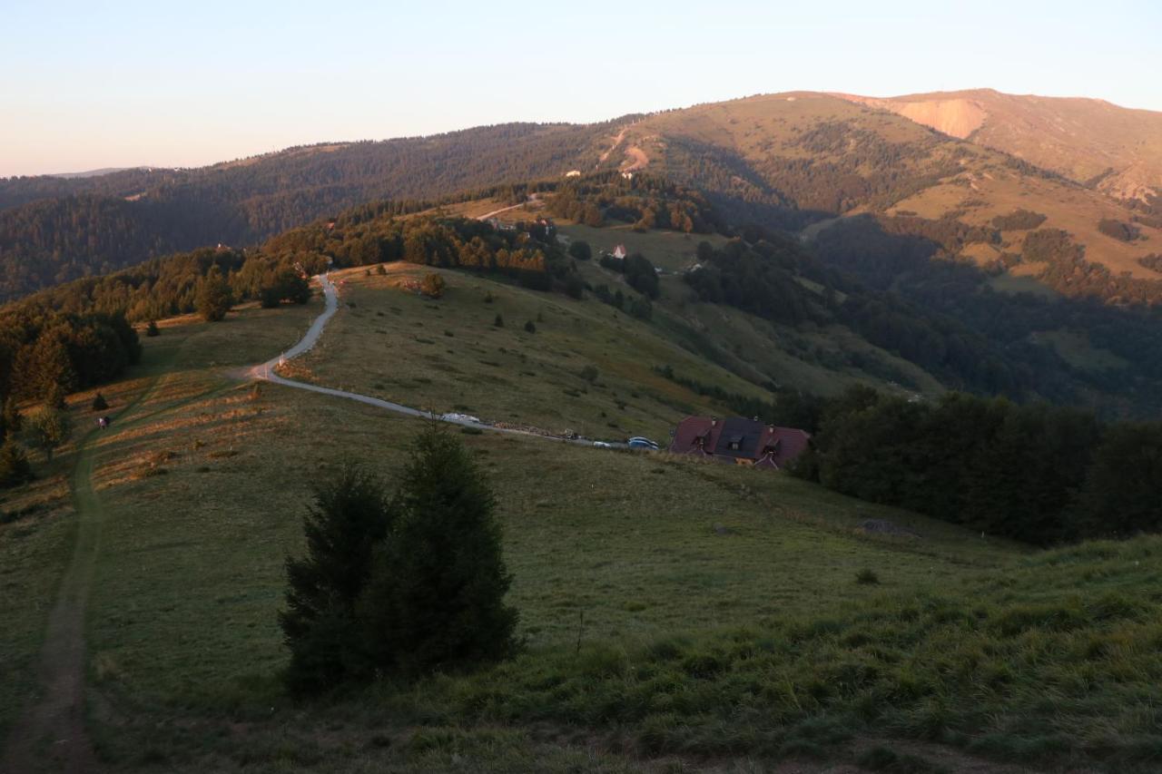 Vikendica Vila Despotovic Kopaonik Zewnętrze zdjęcie