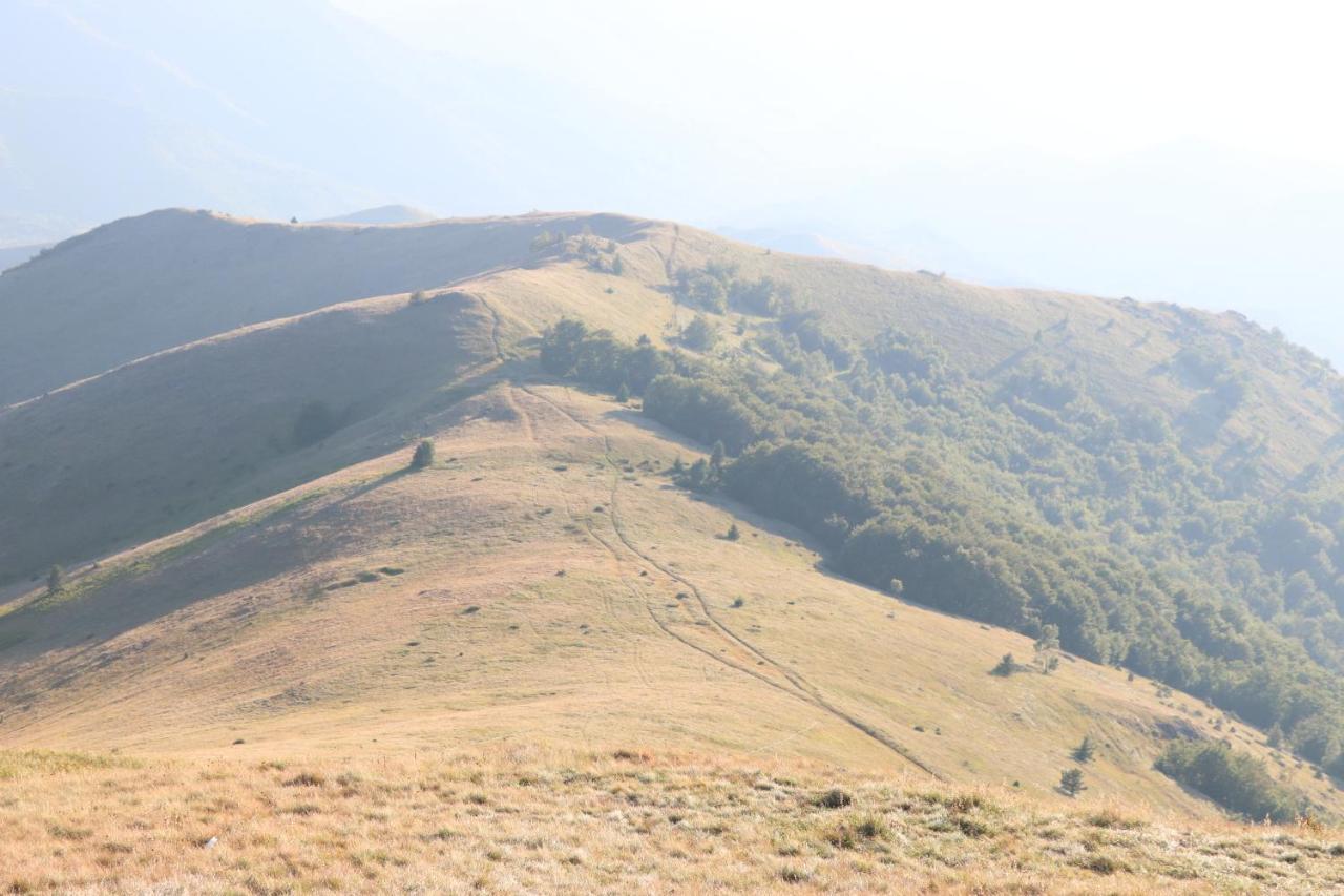 Vikendica Vila Despotovic Kopaonik Zewnętrze zdjęcie