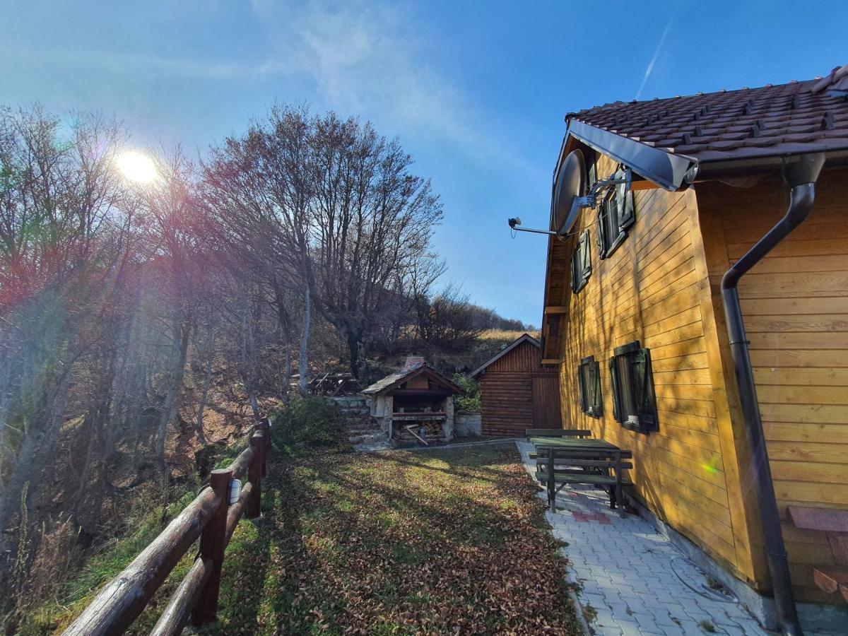 Vikendica Vila Despotovic Kopaonik Zewnętrze zdjęcie