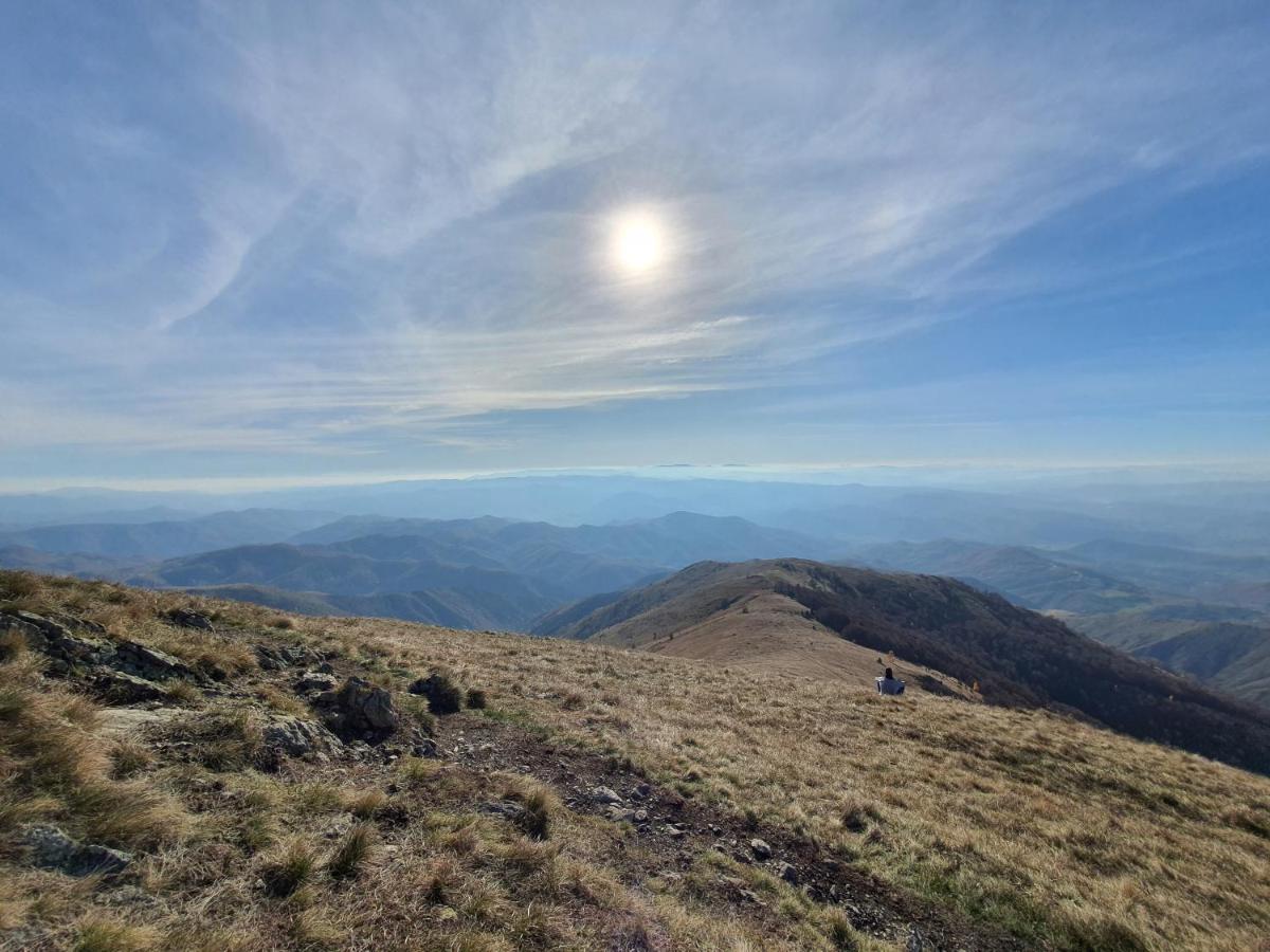 Vikendica Vila Despotovic Kopaonik Zewnętrze zdjęcie