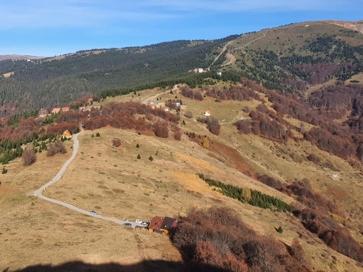 Vikendica Vila Despotovic Kopaonik Zewnętrze zdjęcie