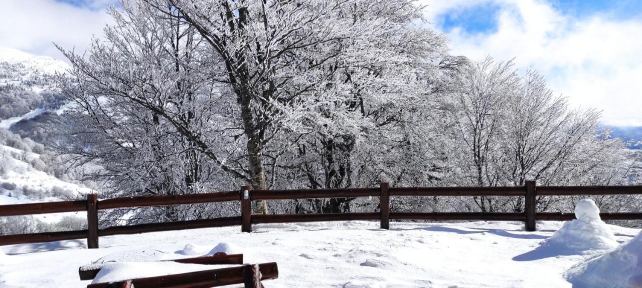 Vikendica Vila Despotovic Kopaonik Zewnętrze zdjęcie