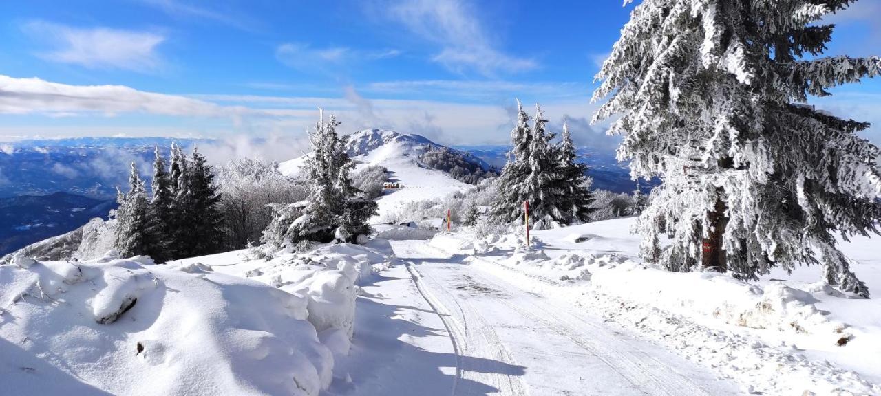 Vikendica Vila Despotovic Kopaonik Zewnętrze zdjęcie