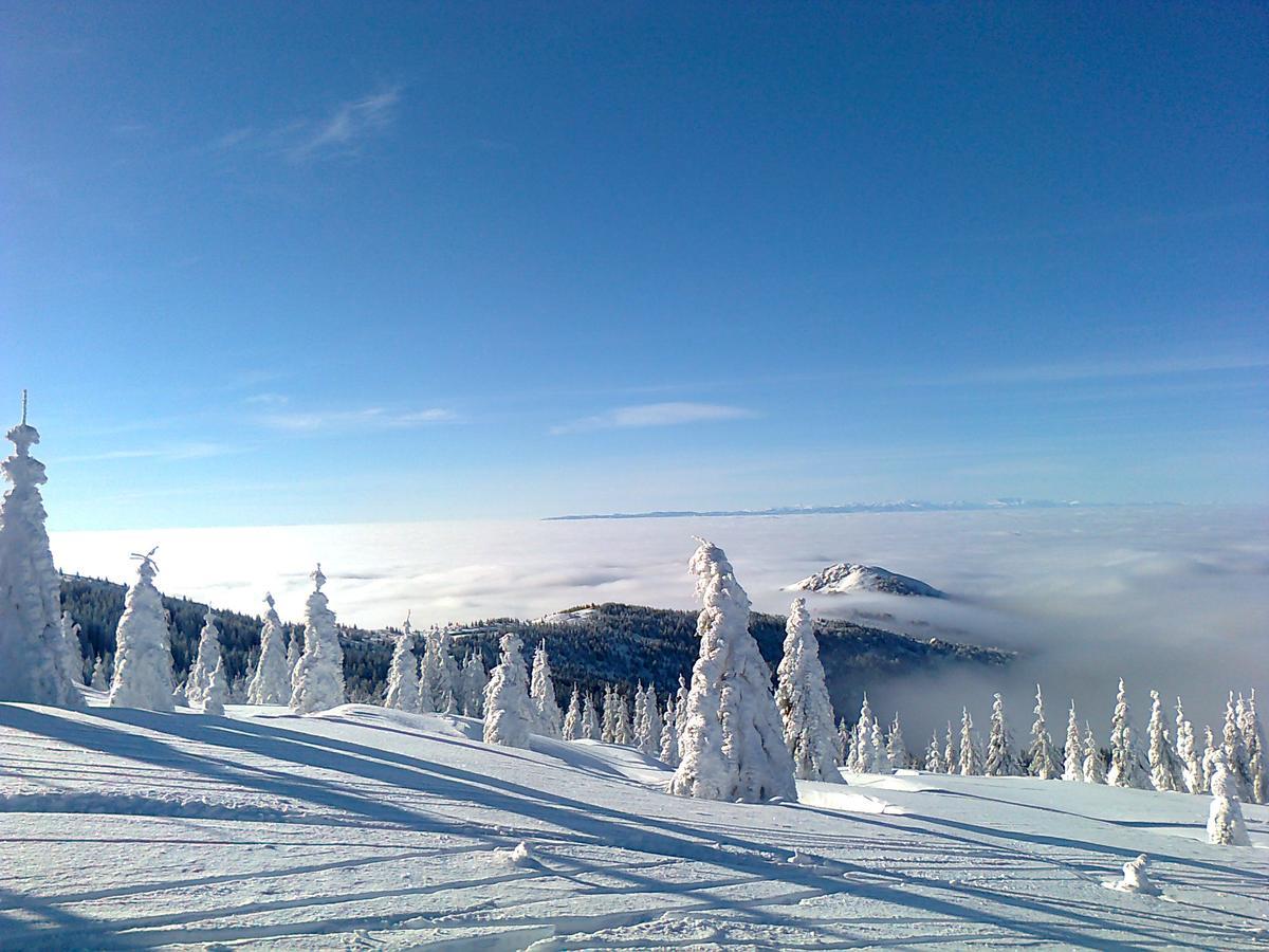 Vikendica Vila Despotovic Kopaonik Zewnętrze zdjęcie