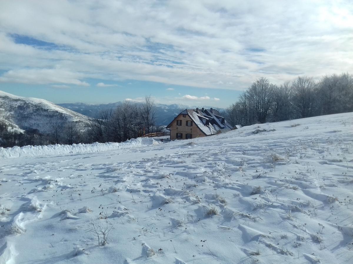 Vikendica Vila Despotovic Kopaonik Zewnętrze zdjęcie
