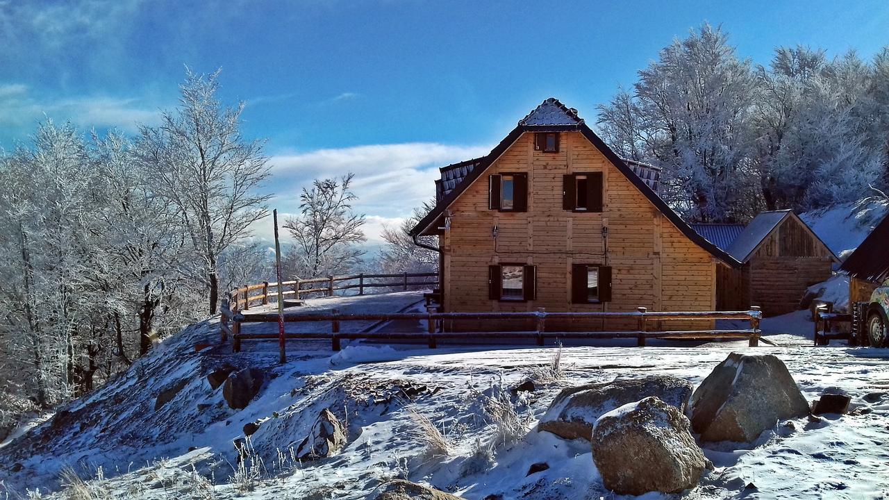 Vikendica Vila Despotovic Kopaonik Zewnętrze zdjęcie