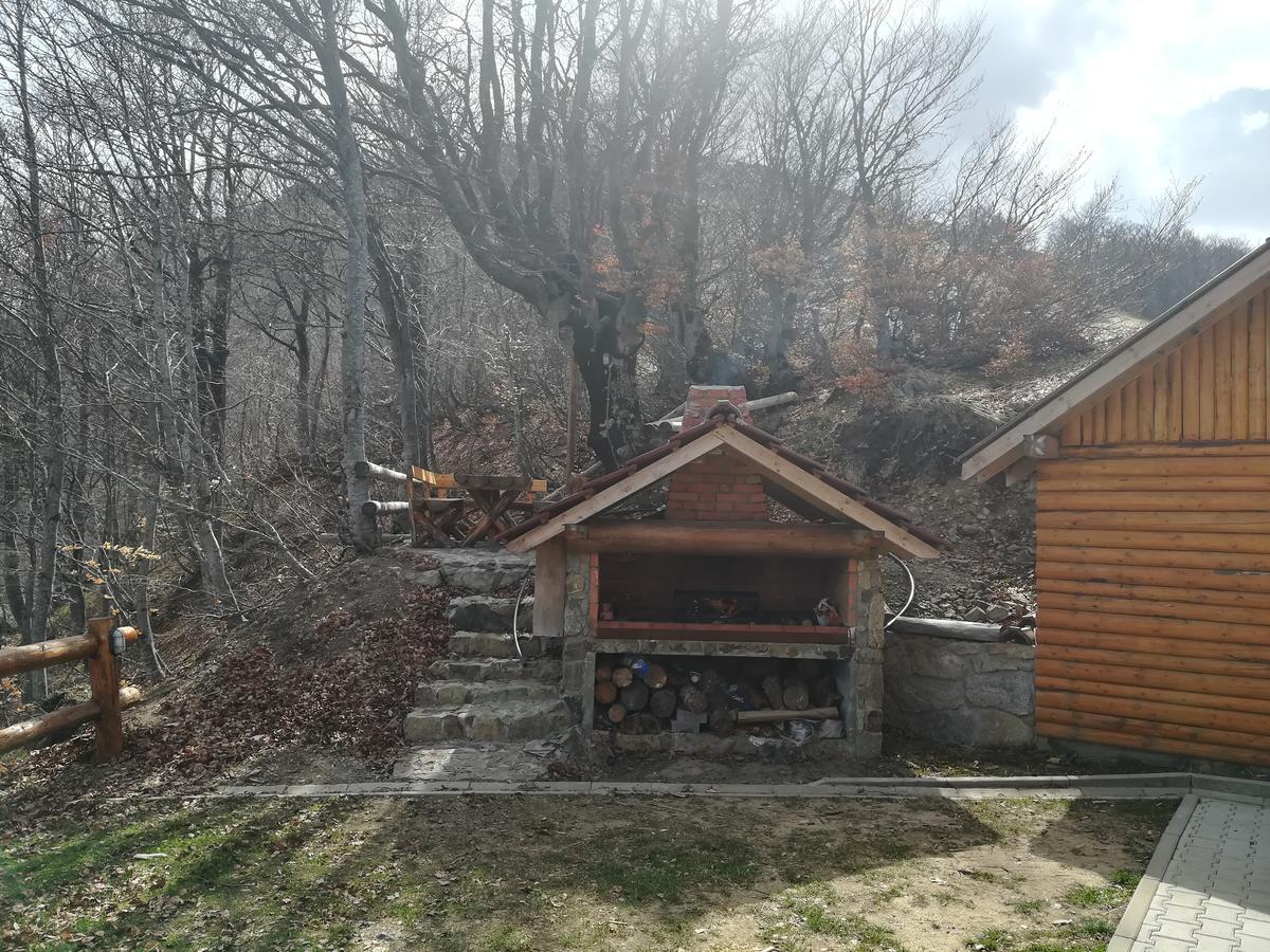 Vikendica Vila Despotovic Kopaonik Zewnętrze zdjęcie