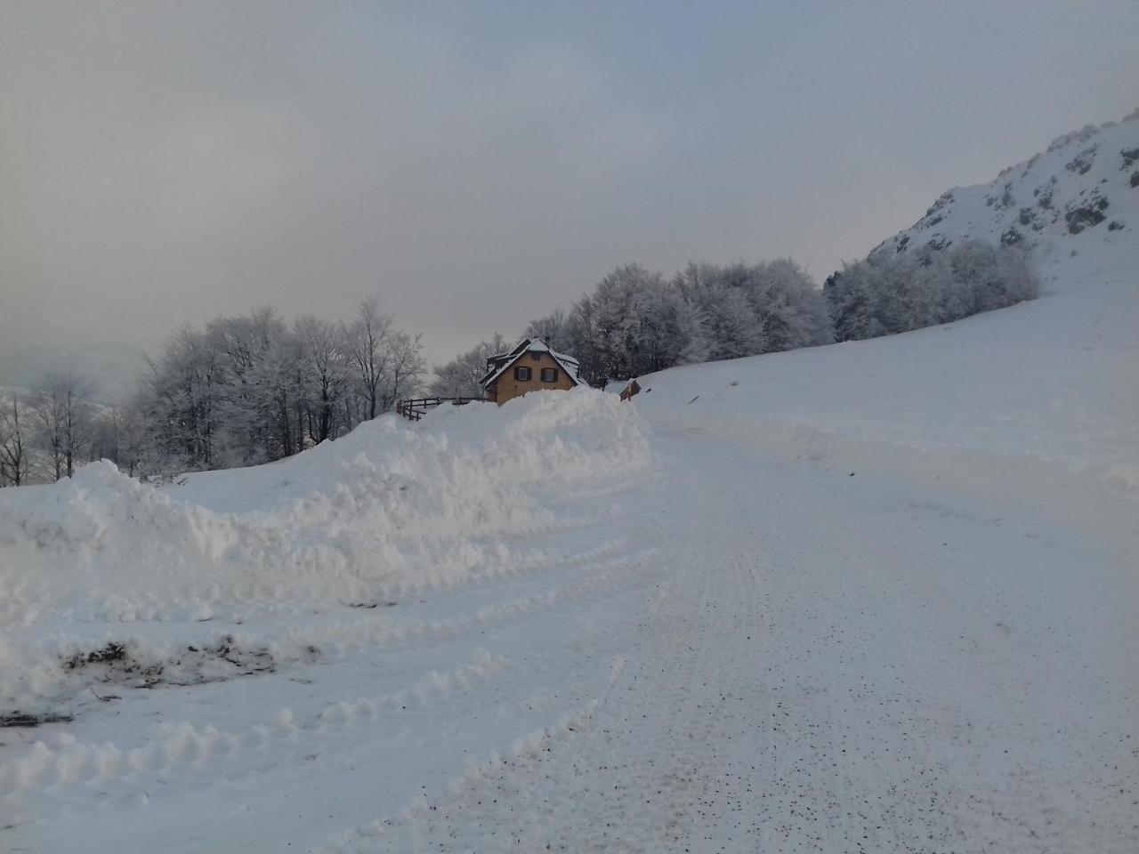 Vikendica Vila Despotovic Kopaonik Zewnętrze zdjęcie